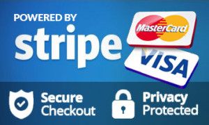 stripe logo